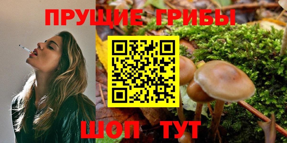 Галлюциногенные грибы Magic Shrooms  Псилоцибиновые грибы Cubensis  Вход с VPN  Кушва 
