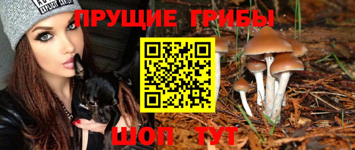 Галлюциногенные грибы MAGIC MUSHROOMS Кушва